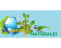 cienciasnaturalesmonica.milaulas.com